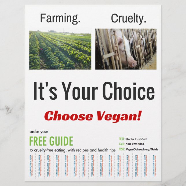 Flyer É a sua escolha (Frente)