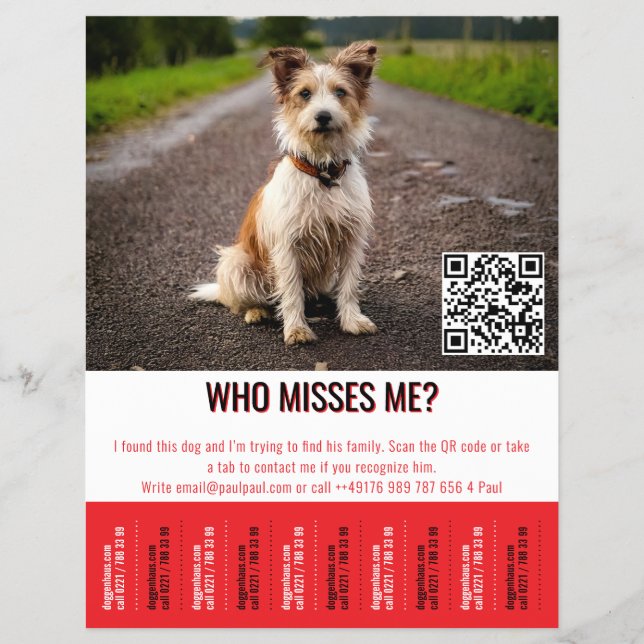 Flyer Editable Found Dog Poster With QR Code & Tear‑Off  (Frente)