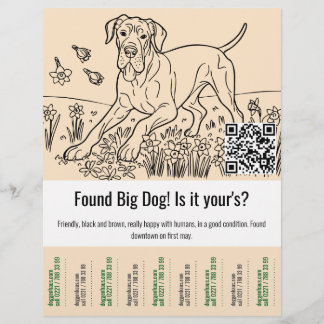 Flyer Encontrou um modelo de Grande Dinamarquês para des