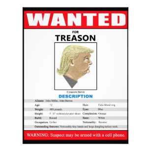Flyer Engraçado Queria Trump Por Traição