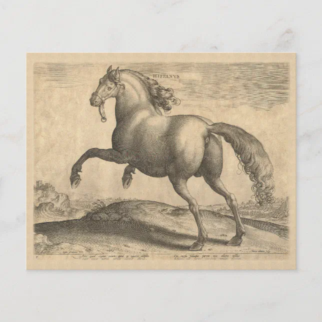 Poster de desenho de cavalo espanhol