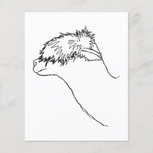 Flyer Esboço da alpaca