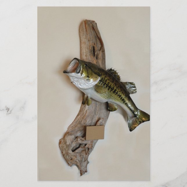 Flyer esfregaço (Frente)