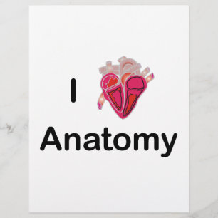 Flyer Eu amo a anatomia com coração humano!