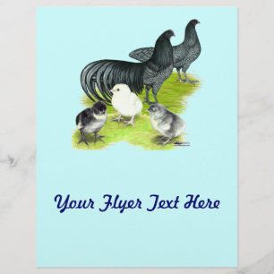 Flyer Família Blue Sumatra