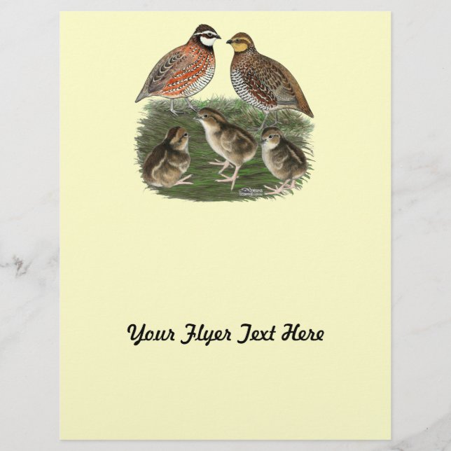 Flyer Família Bobwhite Quail (Frente)