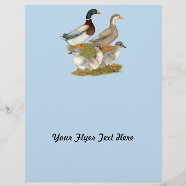 Flyer Família de Patos Saxony (Frente)