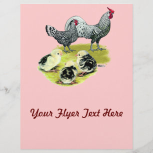 Flyer Família Spangled Hamburg