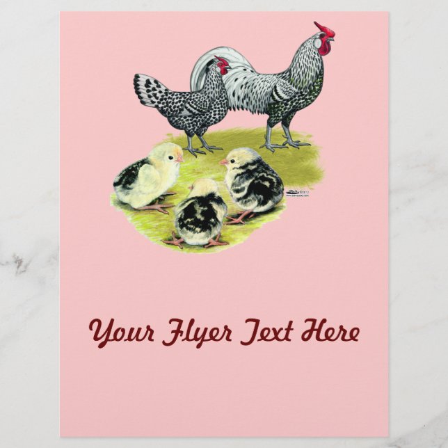 Flyer Família Spangled Hamburg (Frente)