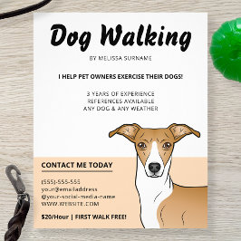 Flyer Fawn E White Greyhound Italiano - Cachorro Walker