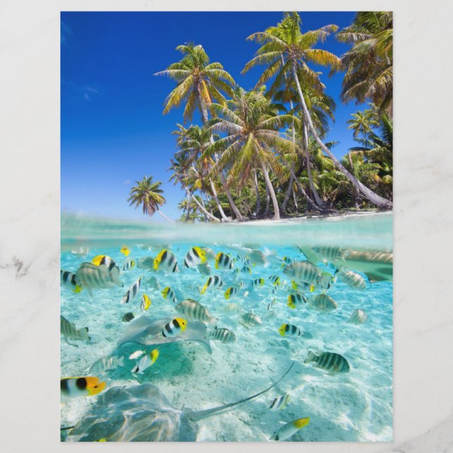 Flyer Férias exóticas (Frente)