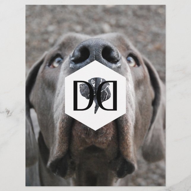Flyer Ficha de criação de Dogue Alemão (Frente)