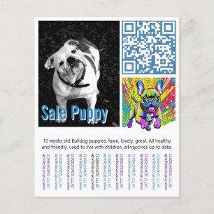 Flyer Filhote de Bulldog Francês