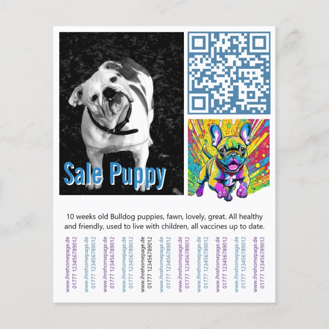 Flyer Filhote de Bulldog Francês  (Frente)