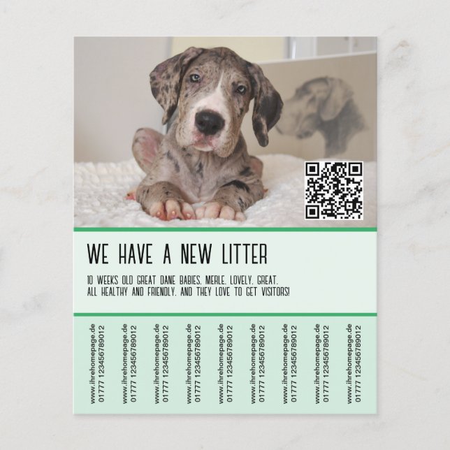 Flyer Filhotes de Dogue Alemão à Venda (Frente)