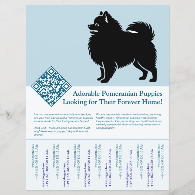 Flyer Filhotes de Pomerânia  (Frente)
