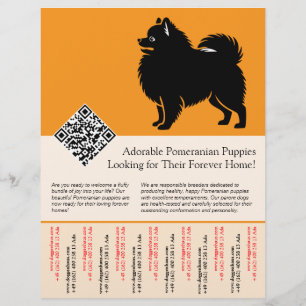 Flyer 🐾 Filhotes de Pomerânia Premium à Venda Agora lar