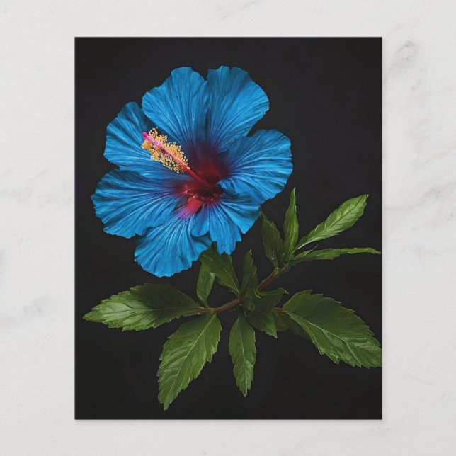 Flyer Flor De Hibisco Azul A Preto, (Frente)