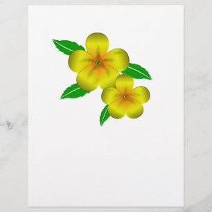 Flyer Flores amarelas Damiana