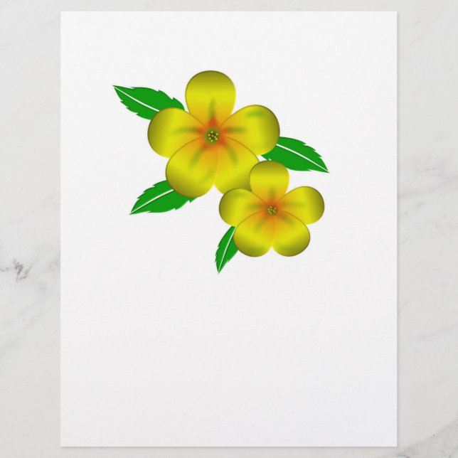 Flyer Flores amarelas Damiana (Frente)