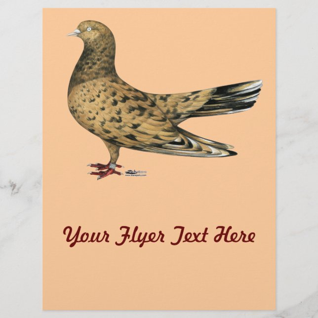 Flyer Flying Oriental Roller Pigeon Almond (Frente)