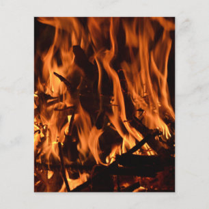 Flyer fogo-432478 madeira de fogo floresta natureza lara