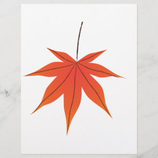 Flyer Folha de Maple