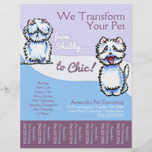 Flyer Folha de rasgo de Westie do chique do Groomer do