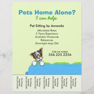 Flyer Folha de Rasgos Verde do Sofá de Pet Sitter