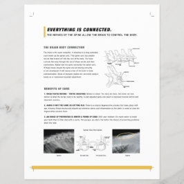 Flyer Folha de ROF (canino + equino)