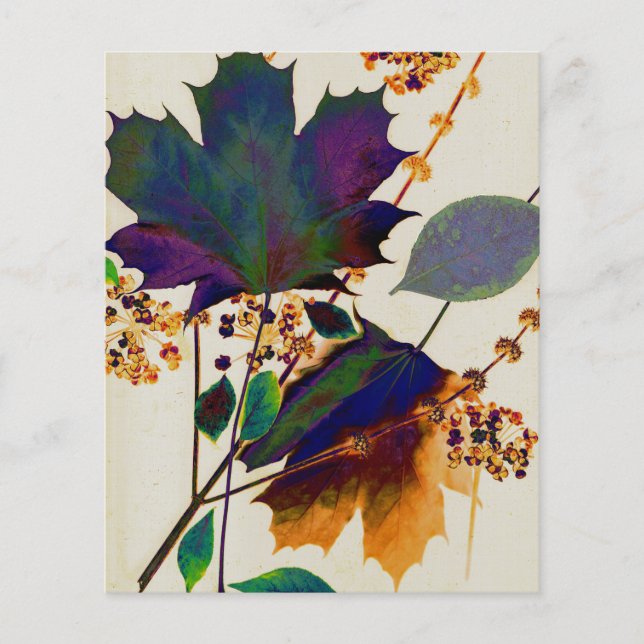 Flyer Folhas de Outono em Cores Reais (Frente)