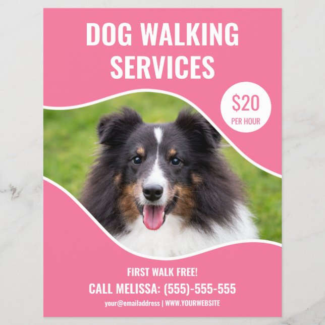 Flyer Foto de Shetland Sheepdog - Serviço de passeio de  (Frente)