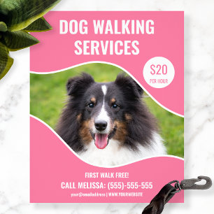 Flyer Foto de Shetland Sheepdog - Serviço de passeio de