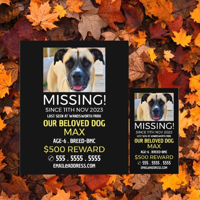 Flyer Fotografia Personalizada, Pet Ausente e Perdido (Criador carregado)