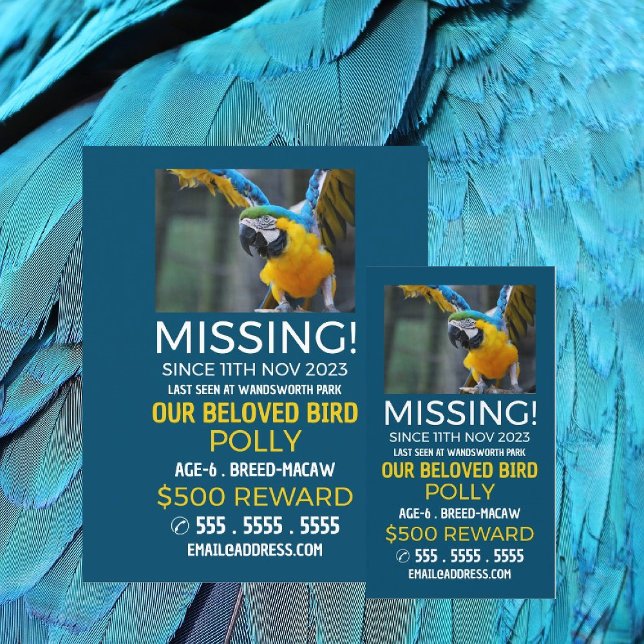 Flyer Fotografia Personalizada, Pet Ausente e Perdido (Criador carregado)