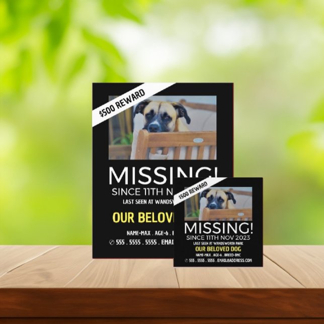 Flyer Fotografia Personalizada, Pet Ausente e Perdido (Criador carregado)