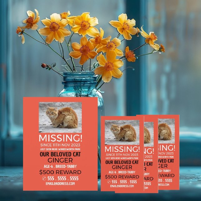 Flyer Fotografia Personalizada, Pet Ausente e Perdido (Criador carregado)