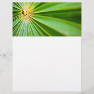 Flyer Fundo de folhas verdes