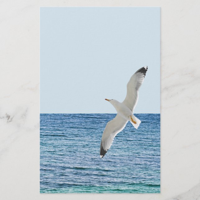 Flyer Gaivota sobre o mar (Frente)