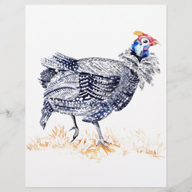 Flyer Galinha da Guiné (Frente)