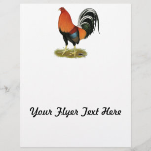 Flyer Galo Wheaten do Gamecock