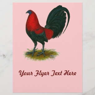 Flyer Gamecock Americano:  Vermelho castanho