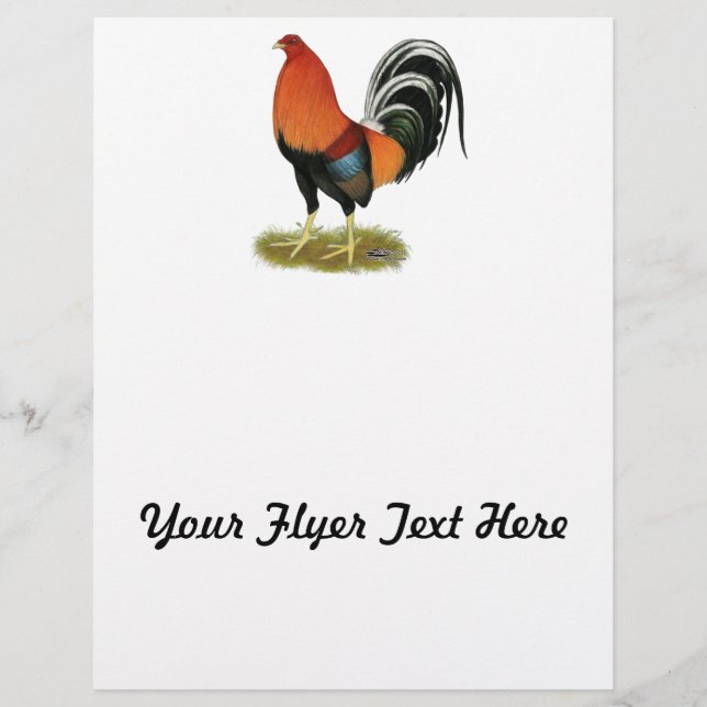 Flyer Gamecock Wheaten Rooster (Frente)