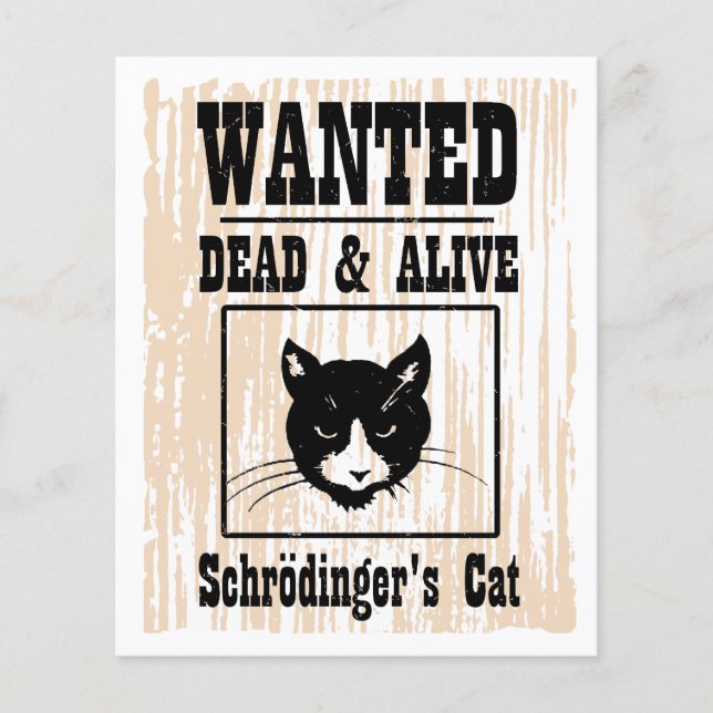 Flyer Gato de Schrodinger Procurado (Frente)