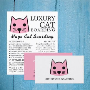 Flyer Gato Rosa, Embarque De Gato, Anúncio De Cateria