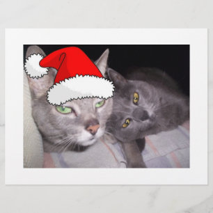 Flyer Gatos de Natal