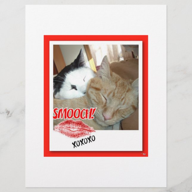 Flyer Gatos malhados de São Valentim (Frente)