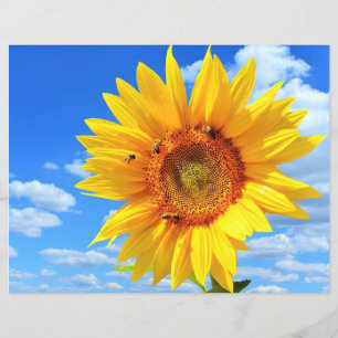 Flyer Girassol Amarelo e Abelhas no Céu Azul - Dia do V