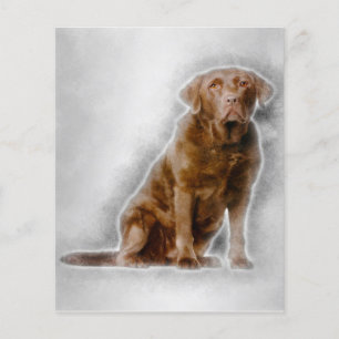 Flyer Golden Labrador Retriever 8 Years Old