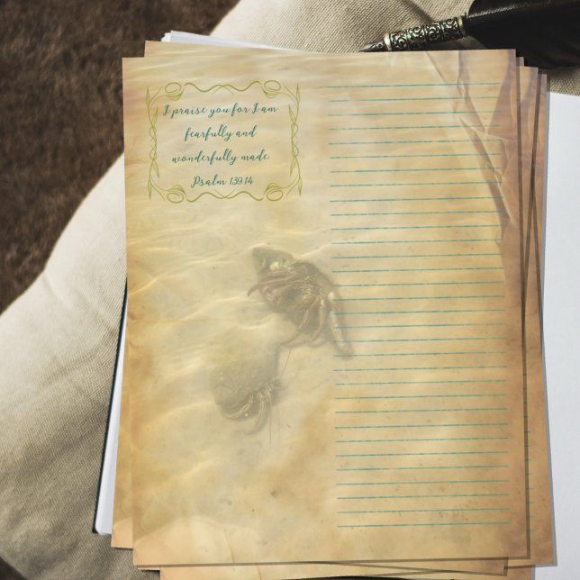 Flyer Hermit Crabs Scripture Scrapbook Paper (Criador carregado)